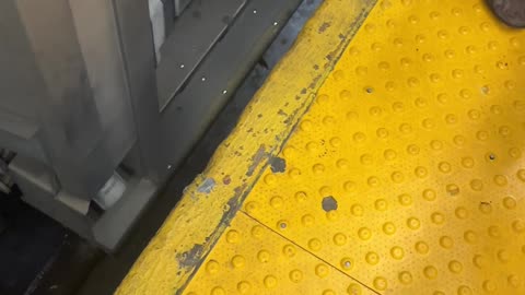 Sandal Needs Rescuing From NYC Subway