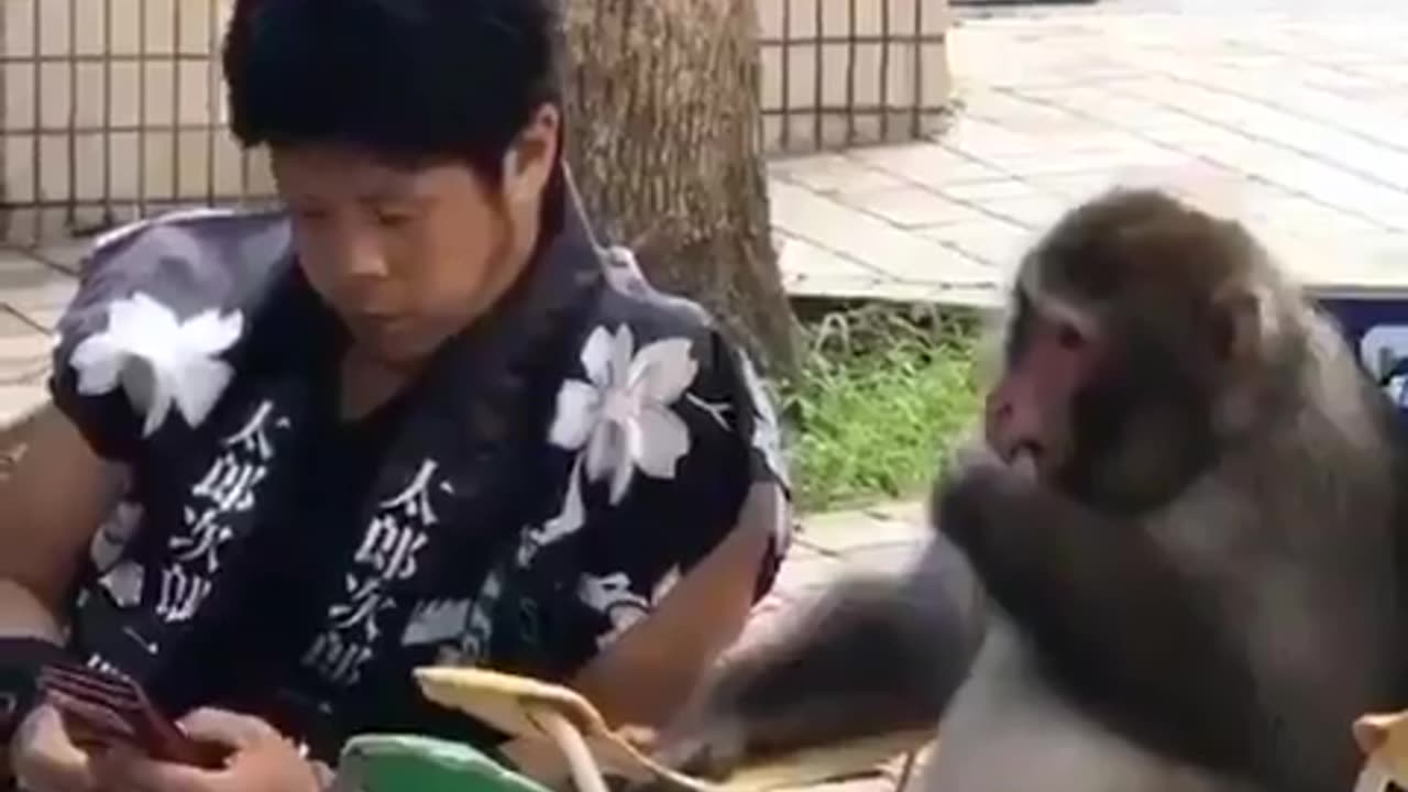 I don't know what they're talking but it seems very important