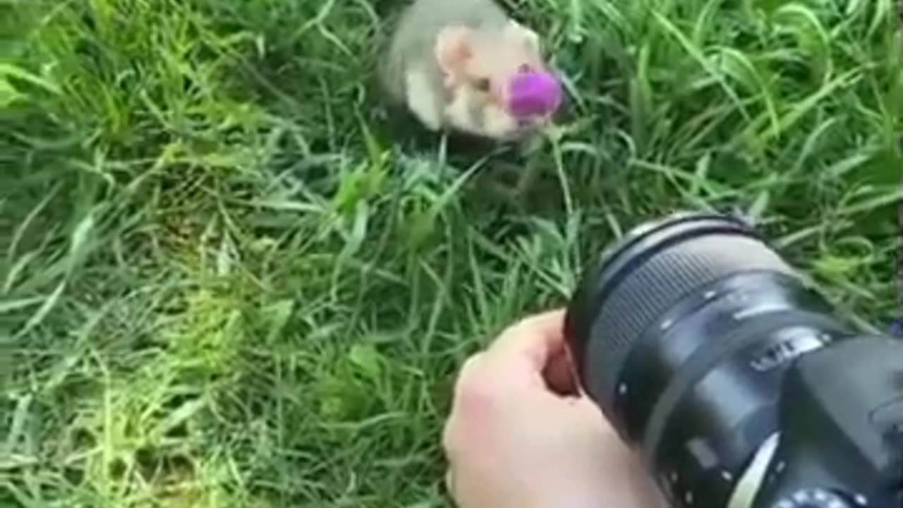 wonders of the world