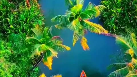 Natural Beauty Momment see#natural