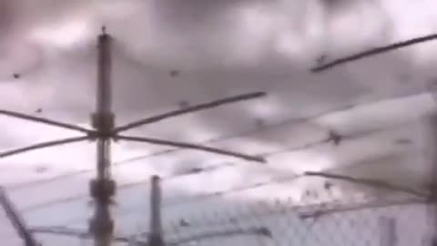 , George Bush Sr ordered the earthquake and tsunami on Japan using HAARP and frequency weapons