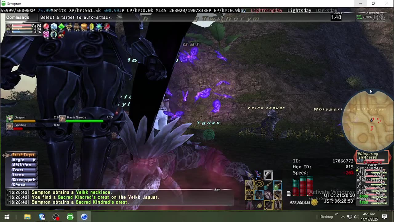 Playing Final Fantasy XI Online