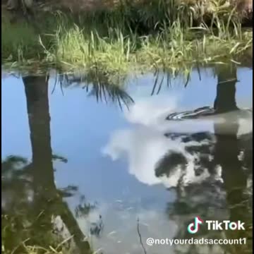 can someone tell me what this is