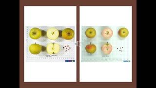 Agri Art 4 Apple Breeding Aesthetics