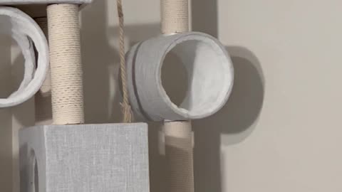 Free Fallin’ Off the Cat Tree