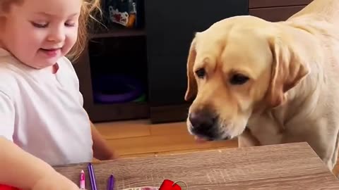 Good little girl whants to feed her dog