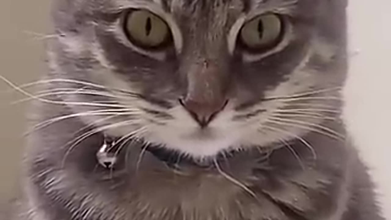 why did I create this