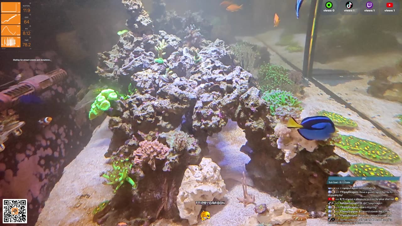 24/7 Real Live Reef Stream