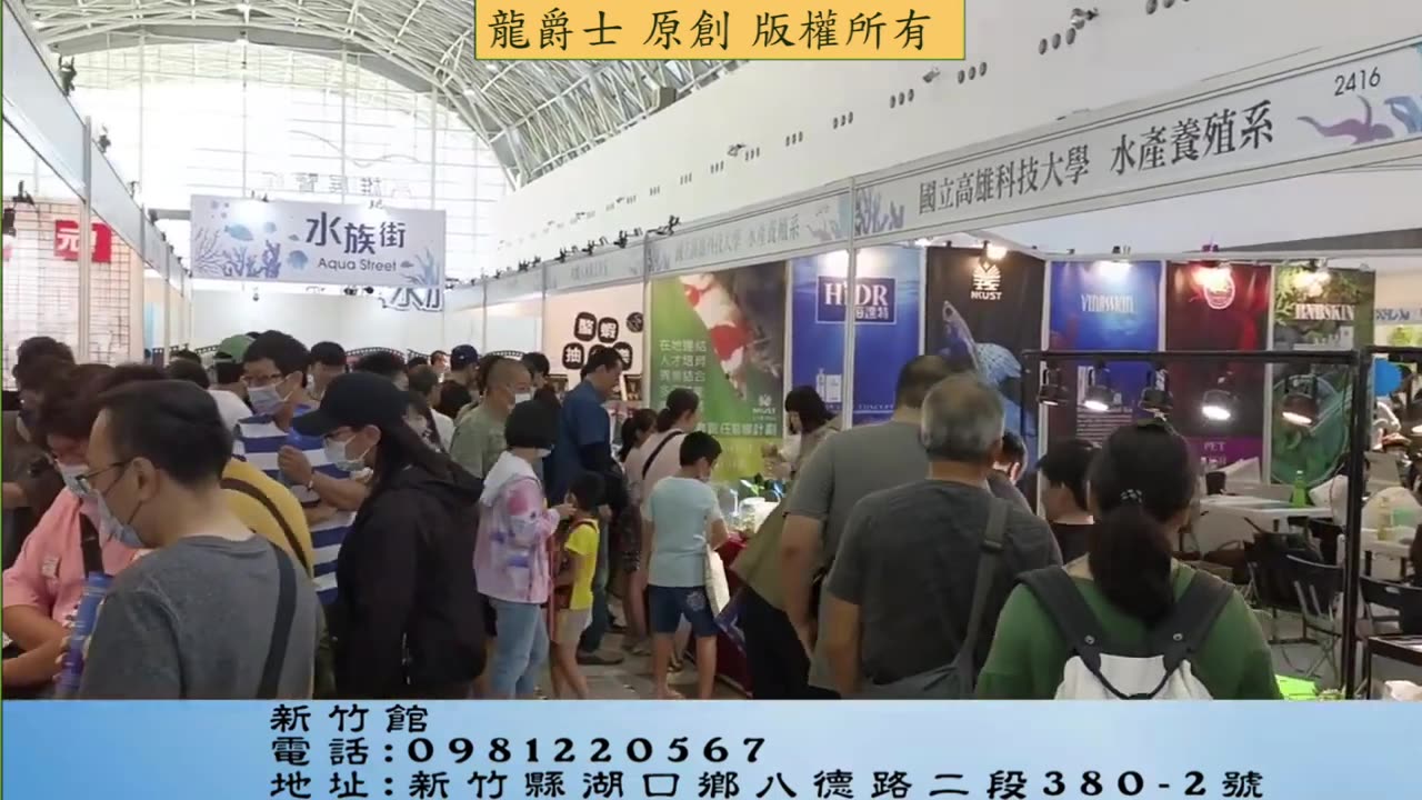 【龍爵士】花絮 2023觀賞魚博覽會