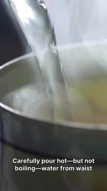 Clogged Toilet with No Plunger? Try This First!