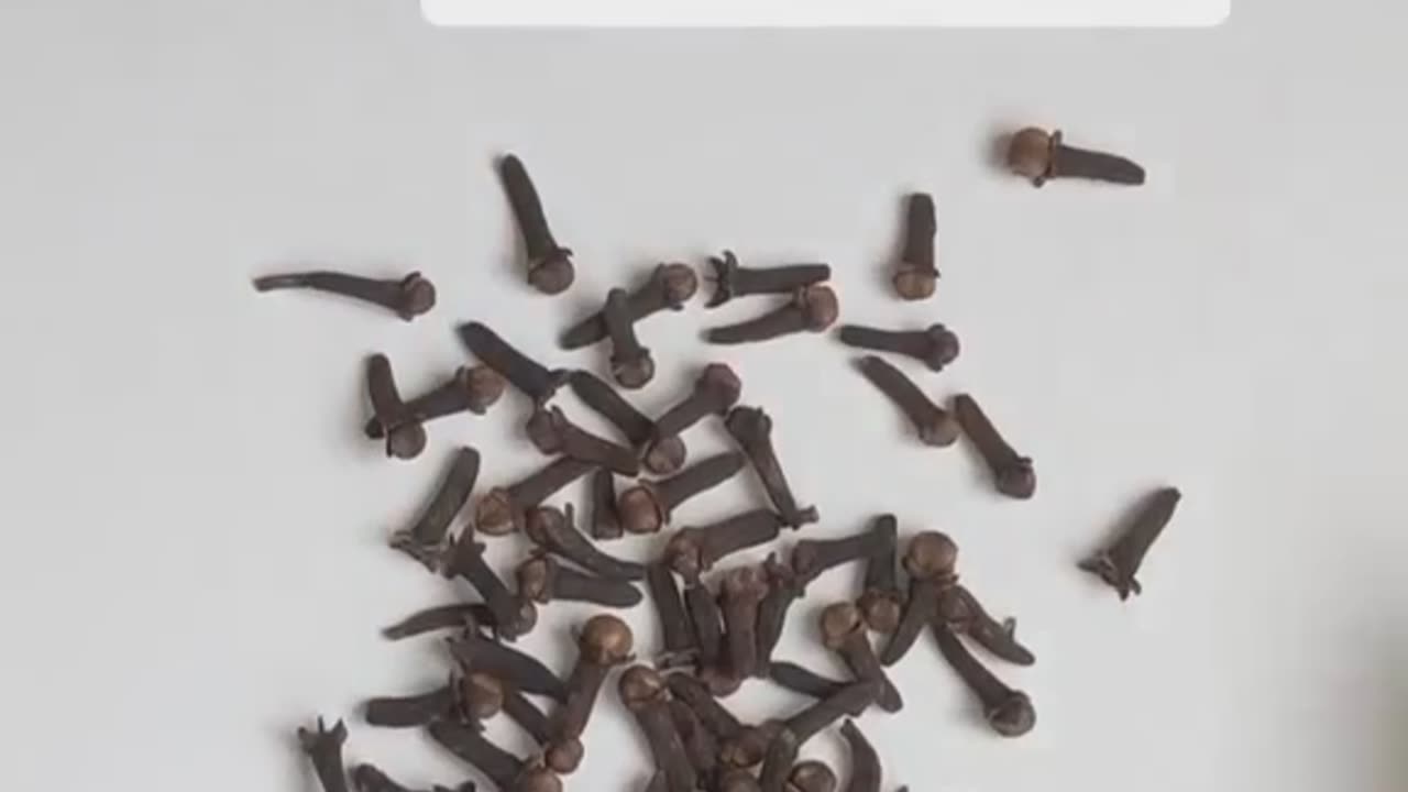 Clove power