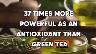 Oregano lub dziki majeranek..
