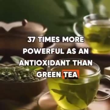 Oregano lub dziki majeranek..