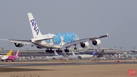Airbus A380-800 of the Japanese airline All Nippon Airways, landing at Tokyo Narita Airport, Japan