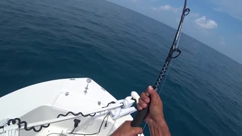 pesca a pesci grossi o big fish1nde squalo martello_part14
