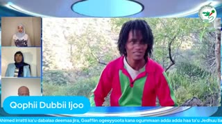 Qophii Dubbii Ijoo ONM-ABO Caamsaa 11-2025 itti dhiyaadhaa!
