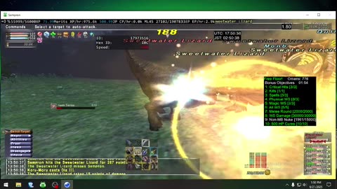 Playing Final Fantasy XI Online