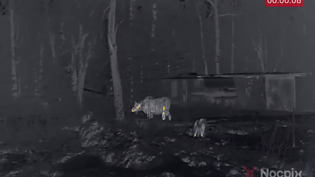 Grizz communicating the property lines.