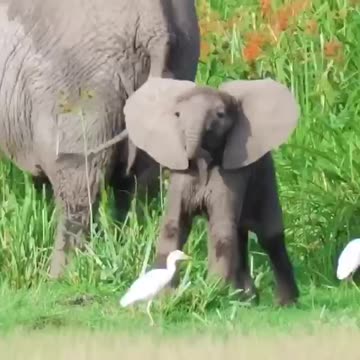 He’ll learn soon enough just how nimble he truly is