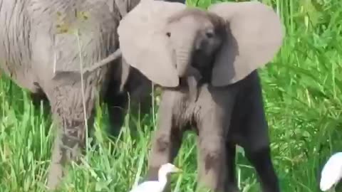 He’ll learn soon enough just how nimble he truly is