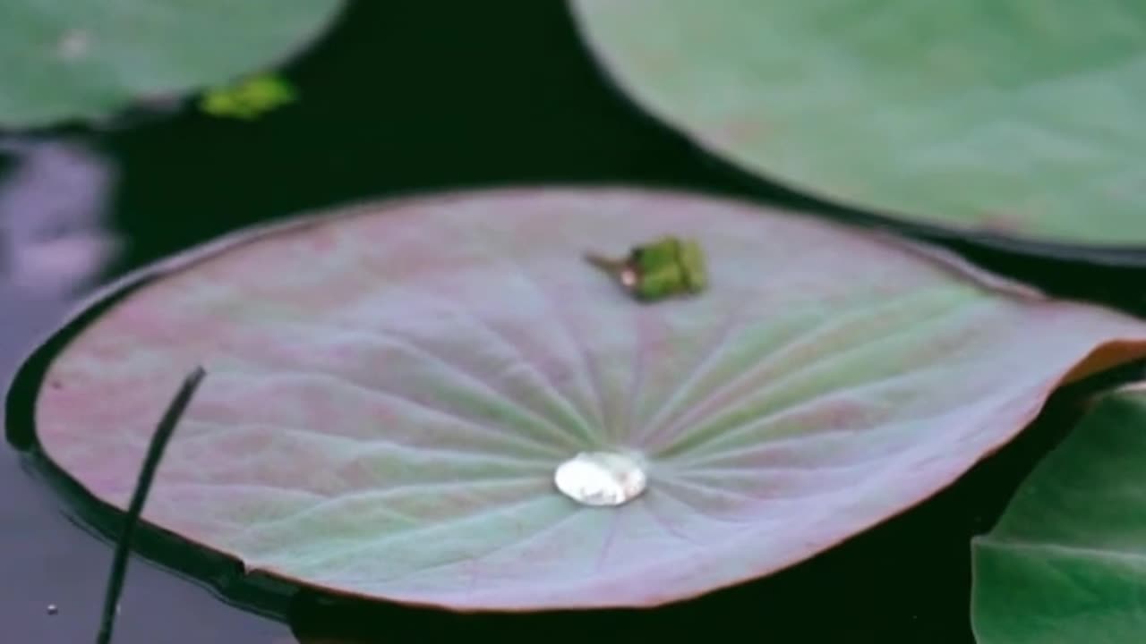 Be Kind and Loving to everyone.