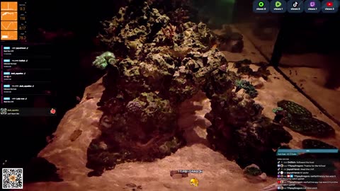 24/7 Real Live Reef Stream