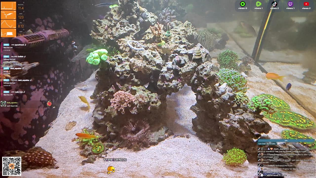 24/7 Real Live Reef Stream