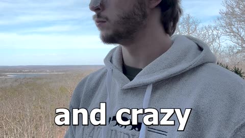 Stable or Crazy