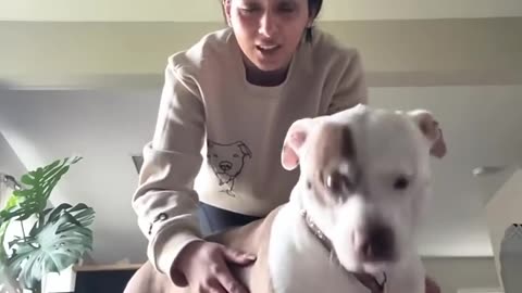He understands every word.