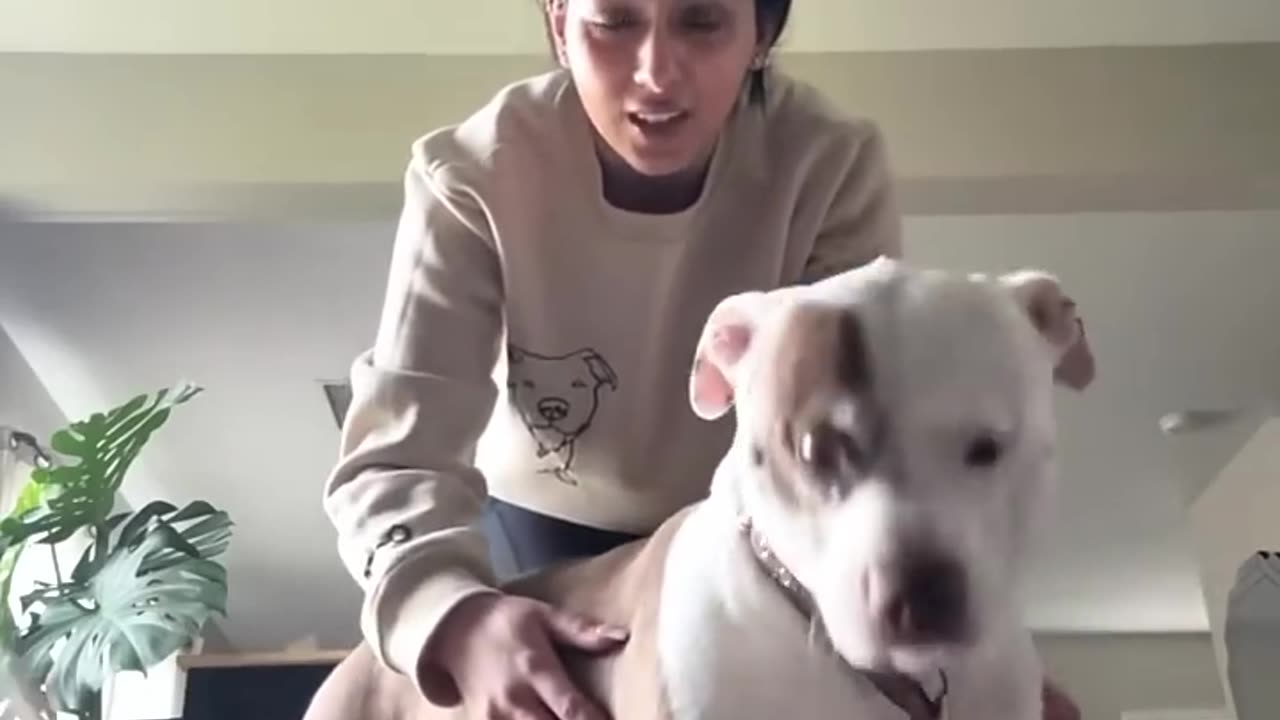 He understands every word.