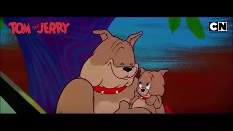 Rom and Jerry funny videos