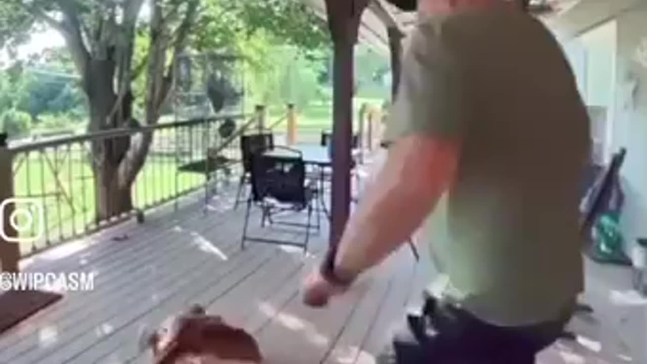 Squirrel from Hell