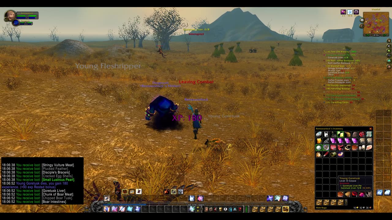 Turtle wow - Summoner leveling - rentawarlock - part 5