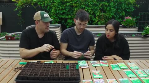 How To Start Your First Seeds (COMPLETE GUIDE) 🌱