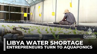Entrepreneurs in Libya turn to aquaponics to fight worsening water scarcity