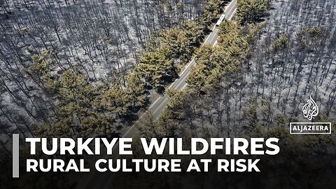Frequent wildfires reshape Turkiye’s Aegean coast, threatening rural livelihoods and culture