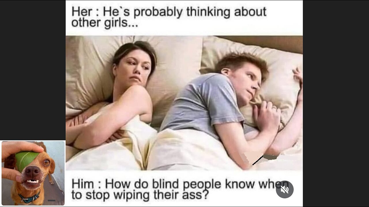 Memes That Will 99.0288% Make You Laugh. (e512)