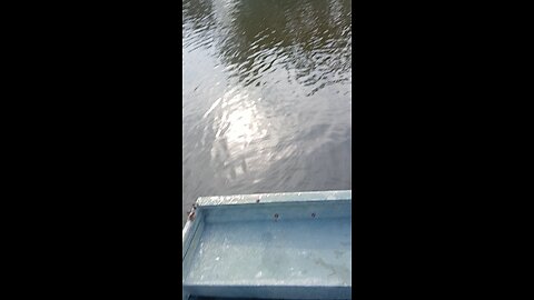 Gump and I fish a farm pond in Nebraska, aboard the SS BoatyMcBoatFace. Part 2