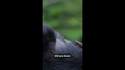 It's about mating