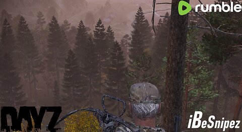 Official DayZ-Survive And Chat!-iBeSnipez