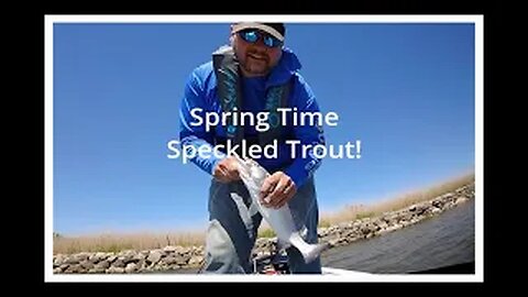 Catching Spring SE Louisiana Speckled Trout with Jerkbaits.