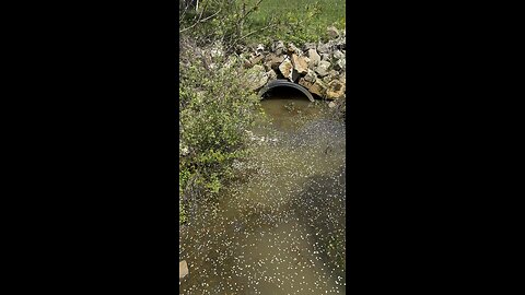 Stream from the reservoir