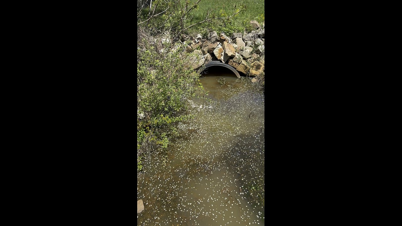 Stream from the reservoir