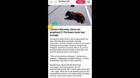 Bears 🐻 blocking road to Yellowstone park 🤔