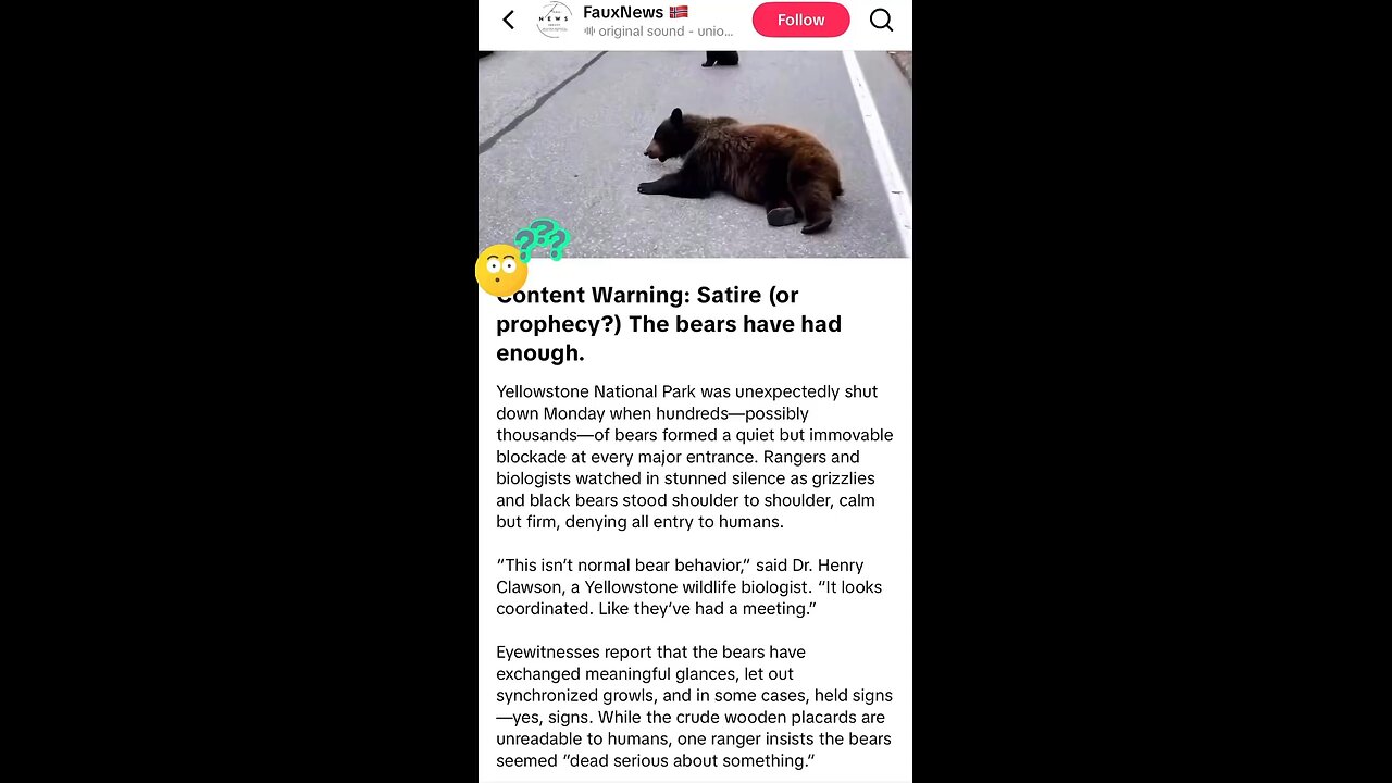 Bears 🐻 blocking road to Yellowstone park 🤔