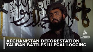 Taliban_s _green force_ battles illegal logging in Afghanistan_s vanishing forests