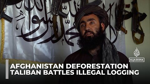Taliban_s _green force_ battles illegal logging in Afghanistan_s vanishing forests