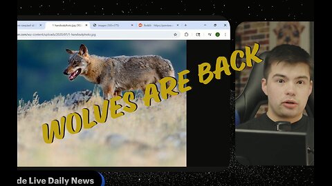 Balkan Wolves Are Back!!!