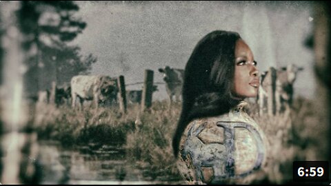 Jasmine Crockett's Crock Of Sh*t Campaign