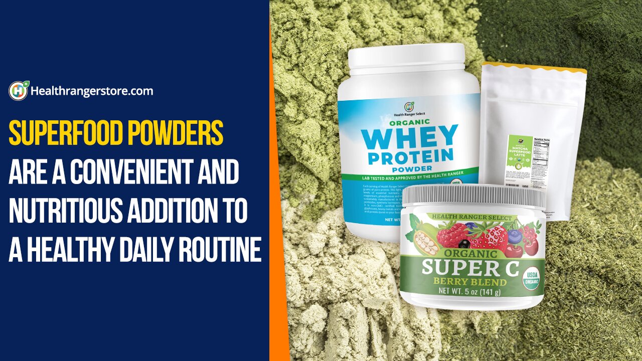 Superfood Powders are a convenient and nutritious addition to a healthy daily routine